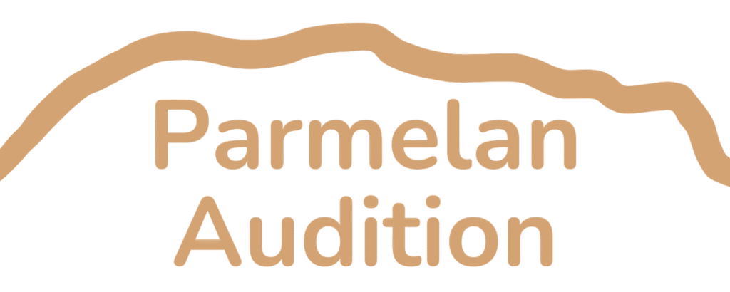 Parmelan audition photoroom